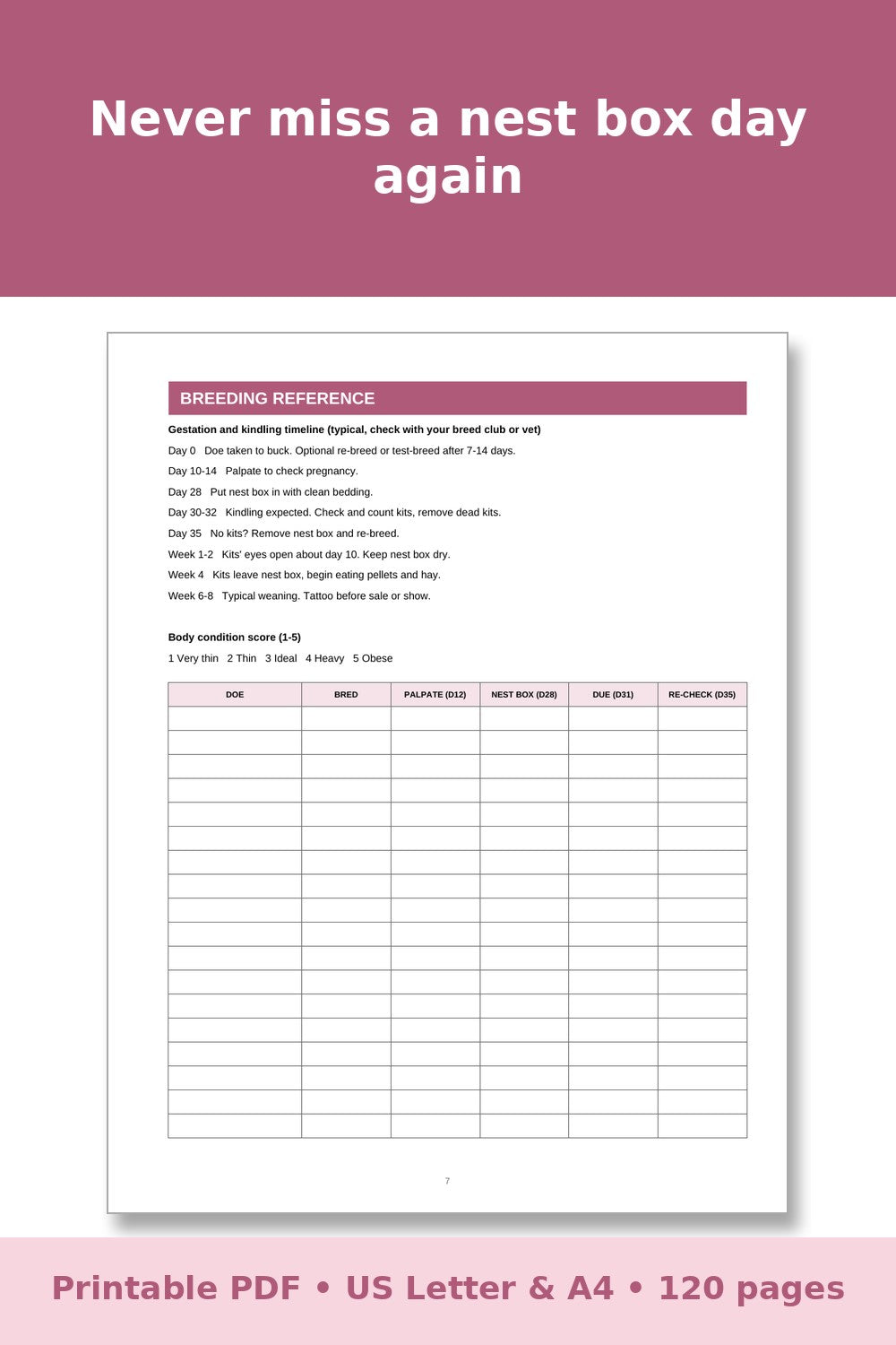 Rabbit Breeding Record Book – printable PDF preview 2