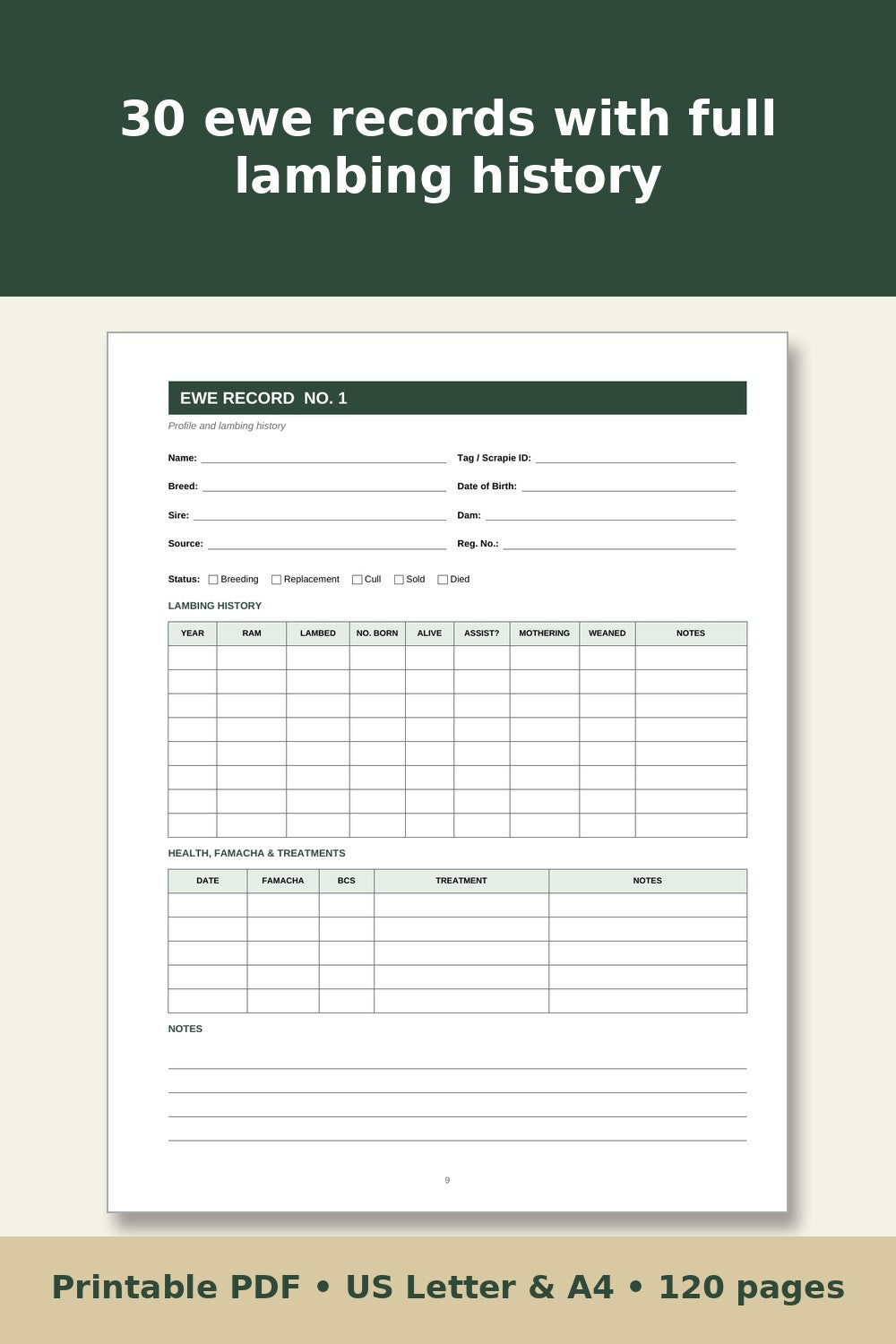 Sheep Record Keeping Log Book – printable PDF preview 3