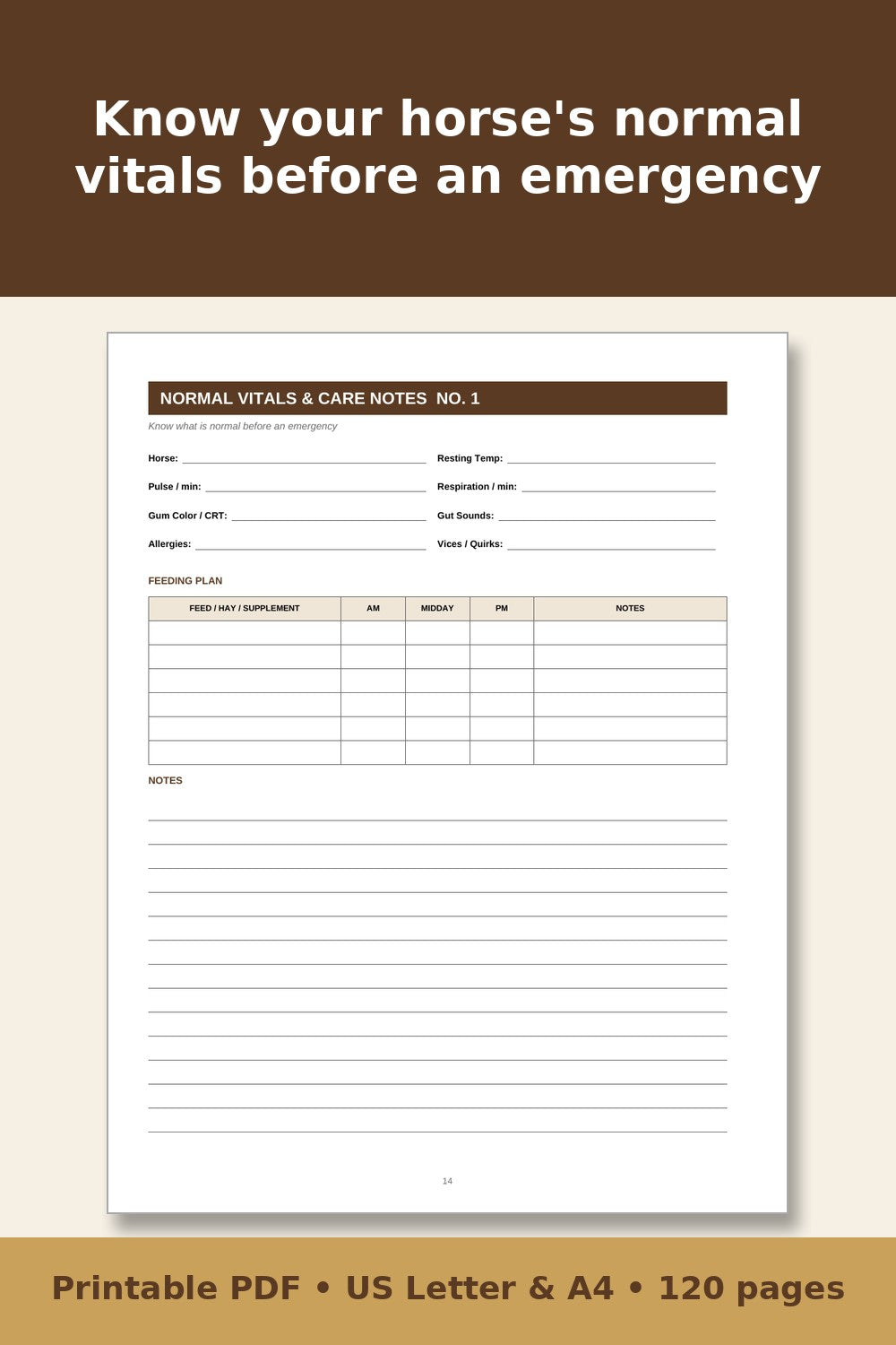 Horse Care Record Book – printable PDF preview 3