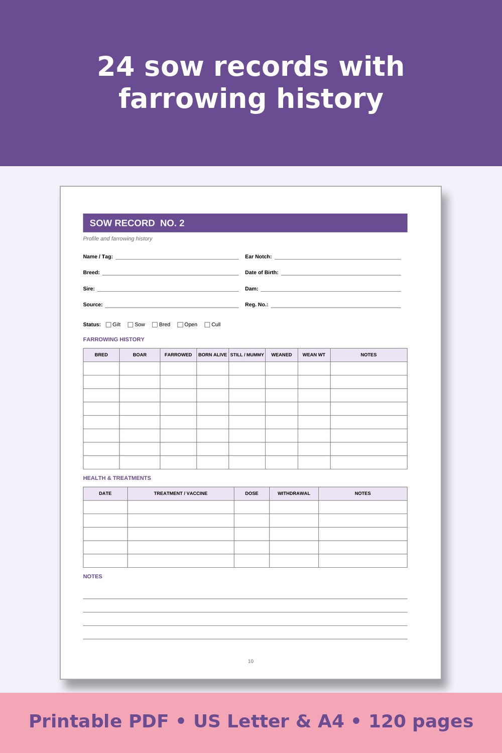 Pig Record Keeping Log Book – printable PDF preview 3