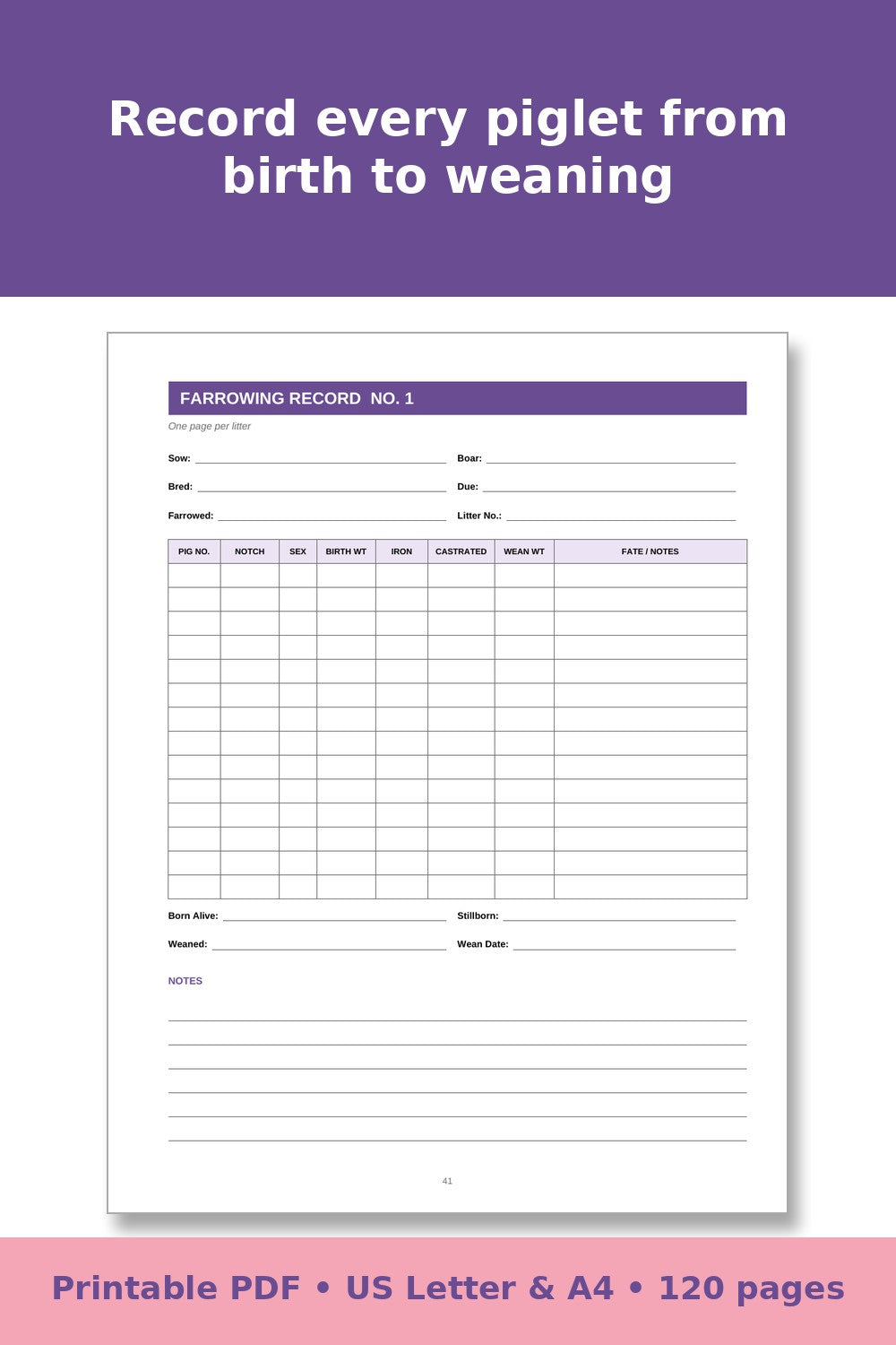 Pig Record Keeping Log Book – printable PDF preview 4