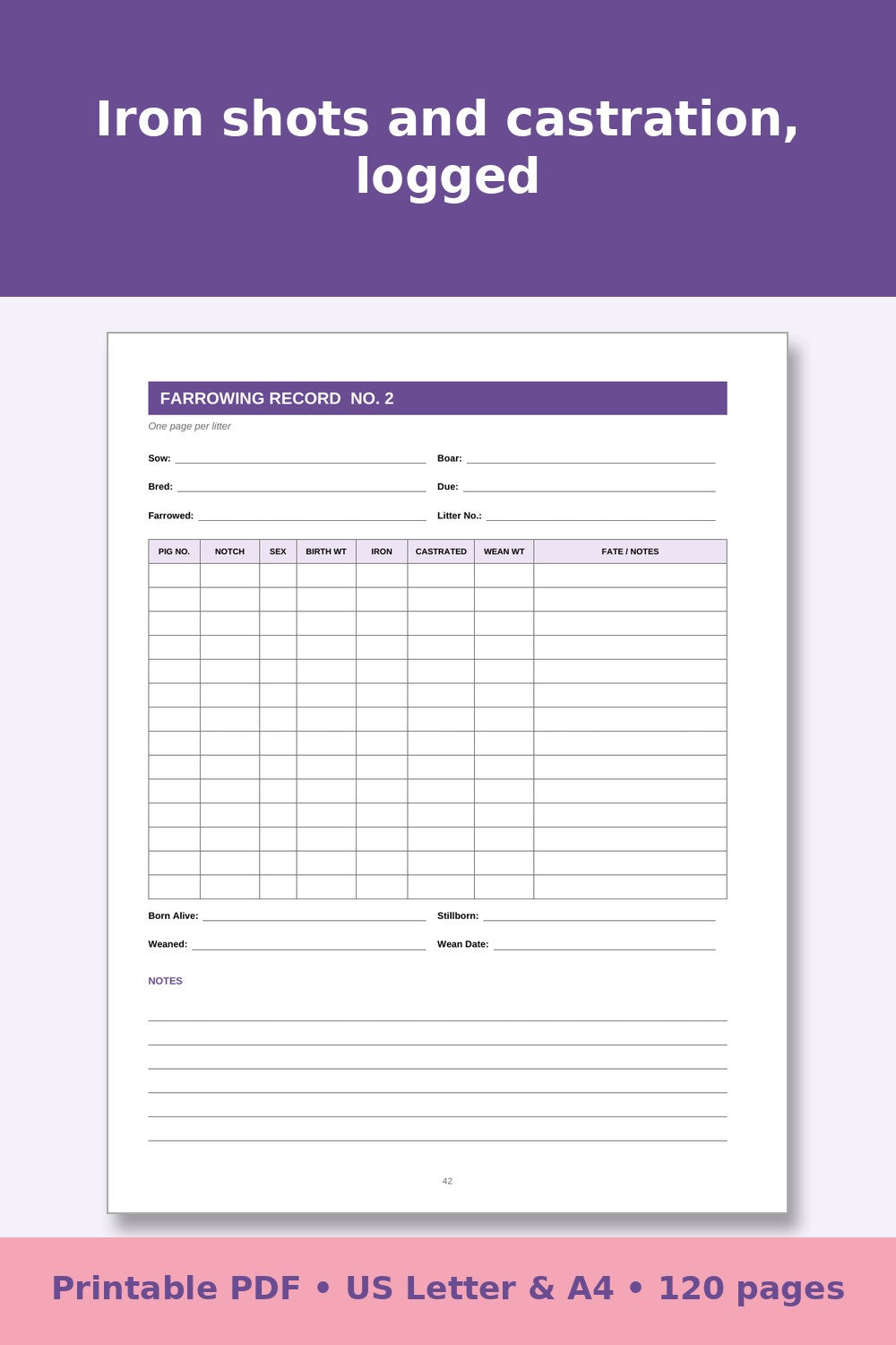 Pig Record Keeping Log Book – printable PDF preview 5