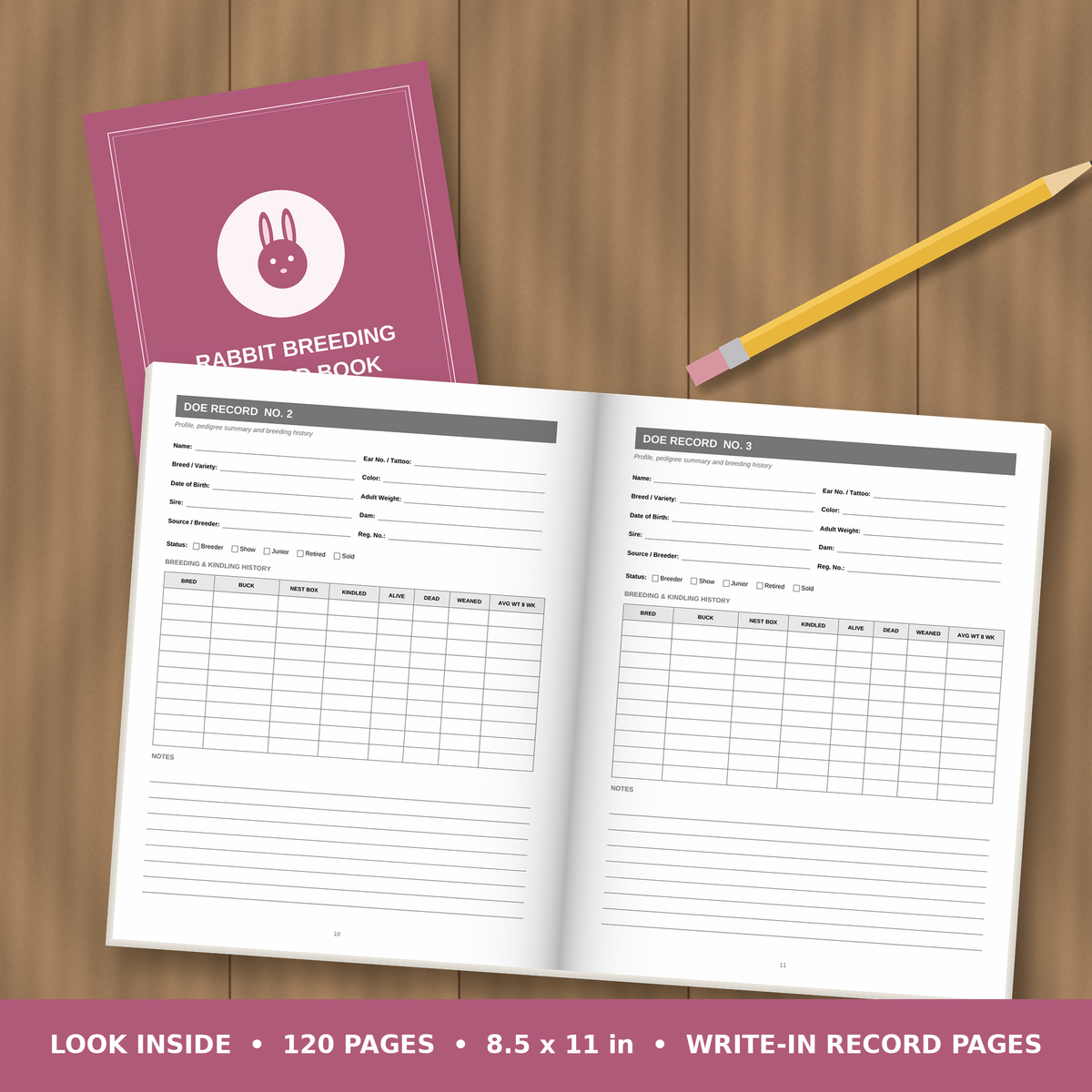 Rabbit Breeding Record Book – inside pages spread