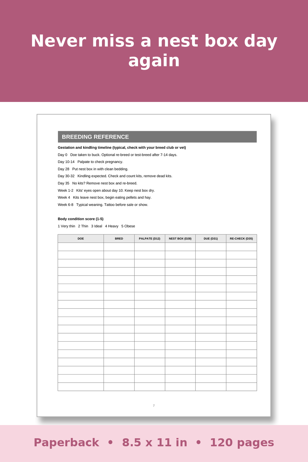 Rabbit Breeding Record Book – inside page