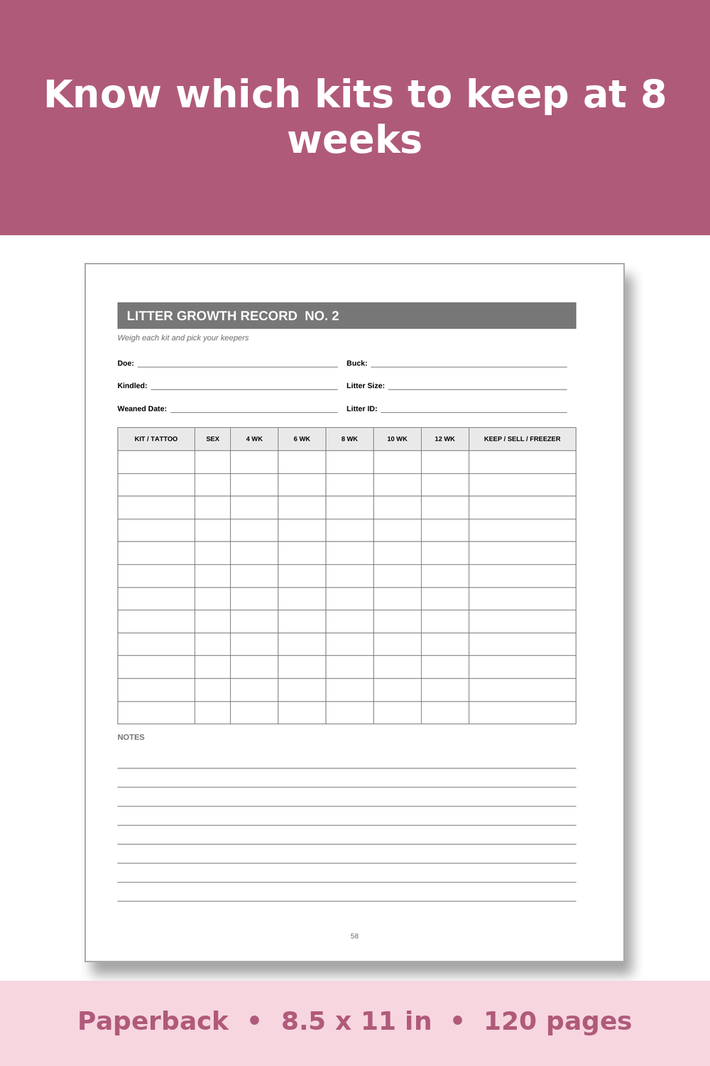 Rabbit Breeding Record Book – inside page