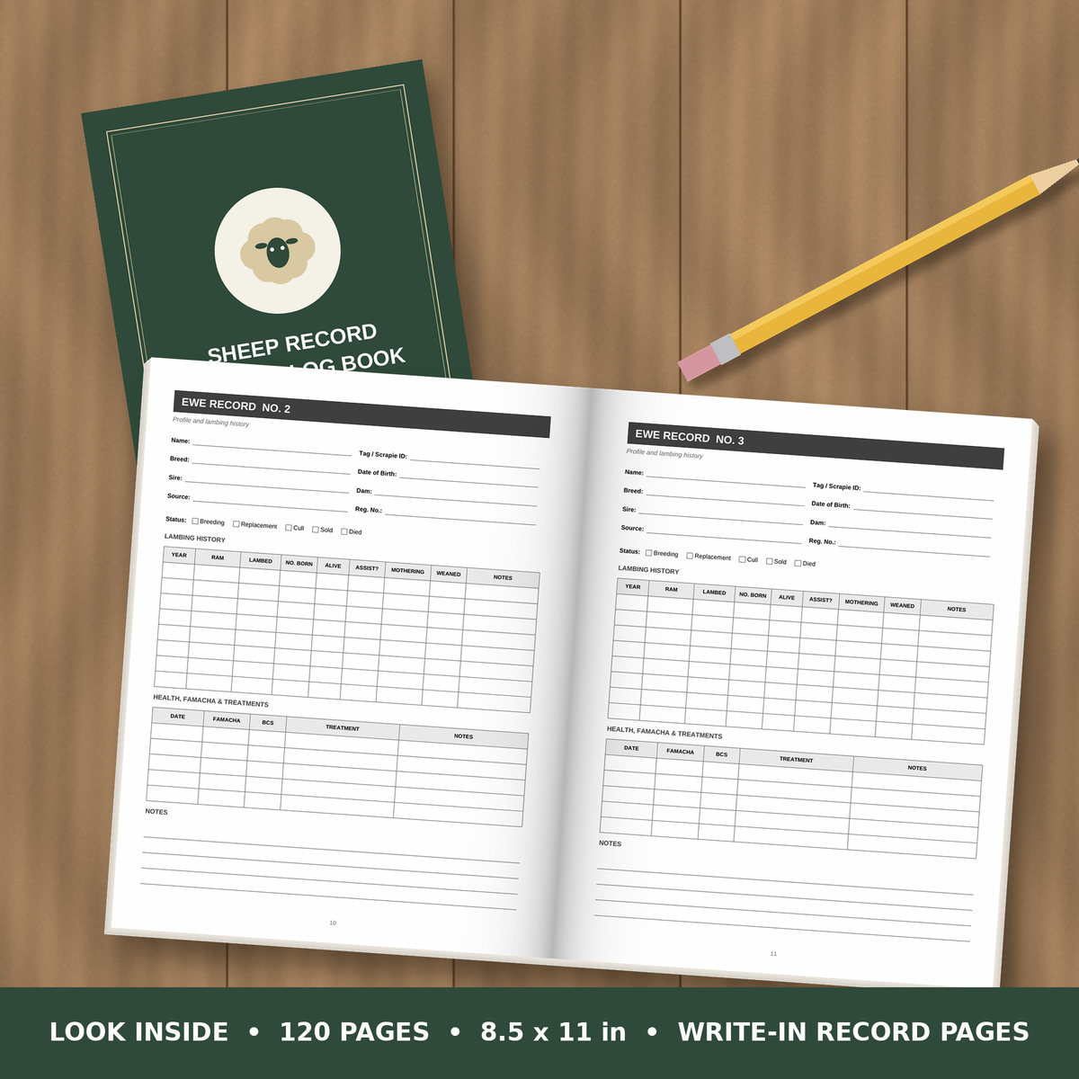 Sheep Record Keeping Log Book – inside pages spread