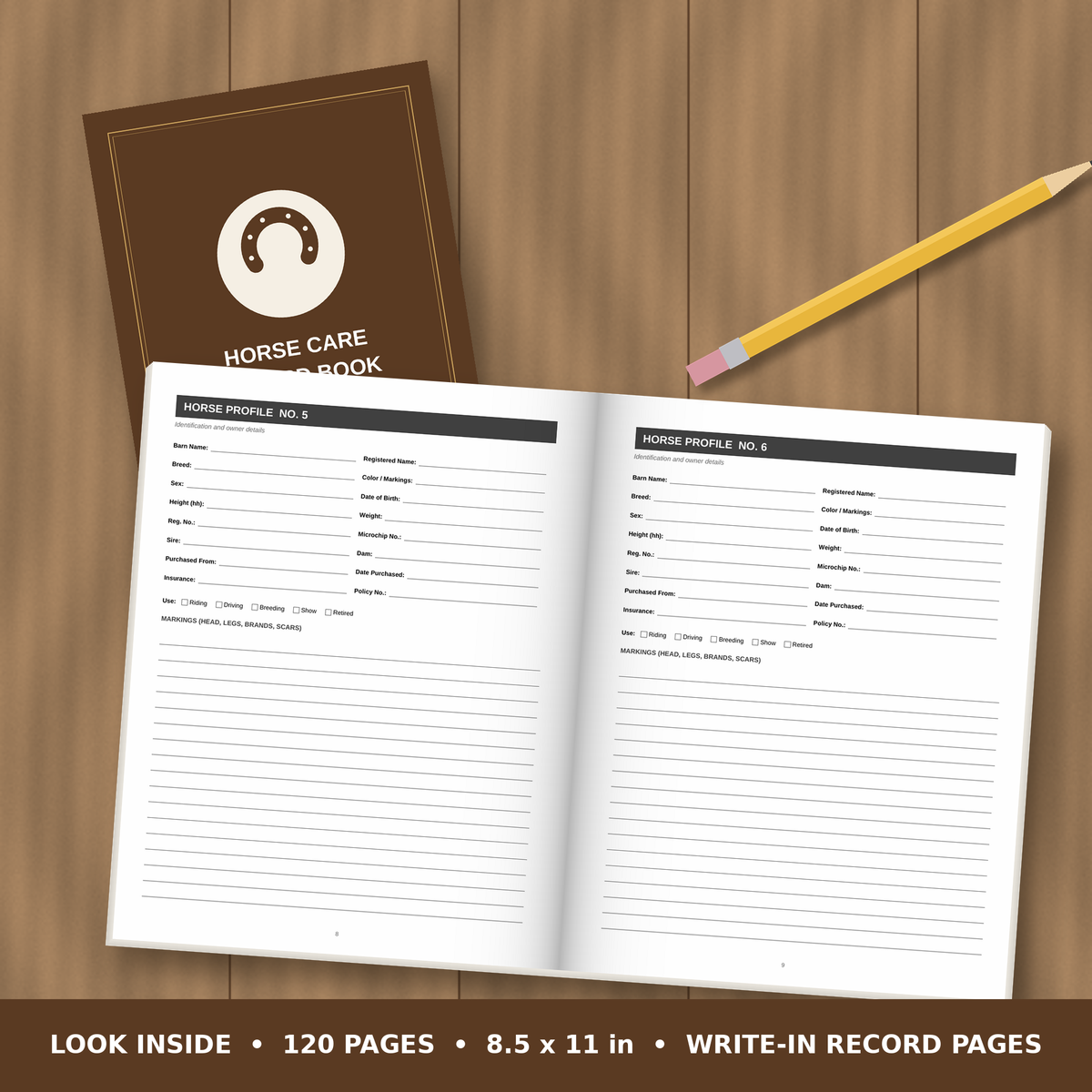 Horse Care Record Book – inside pages spread