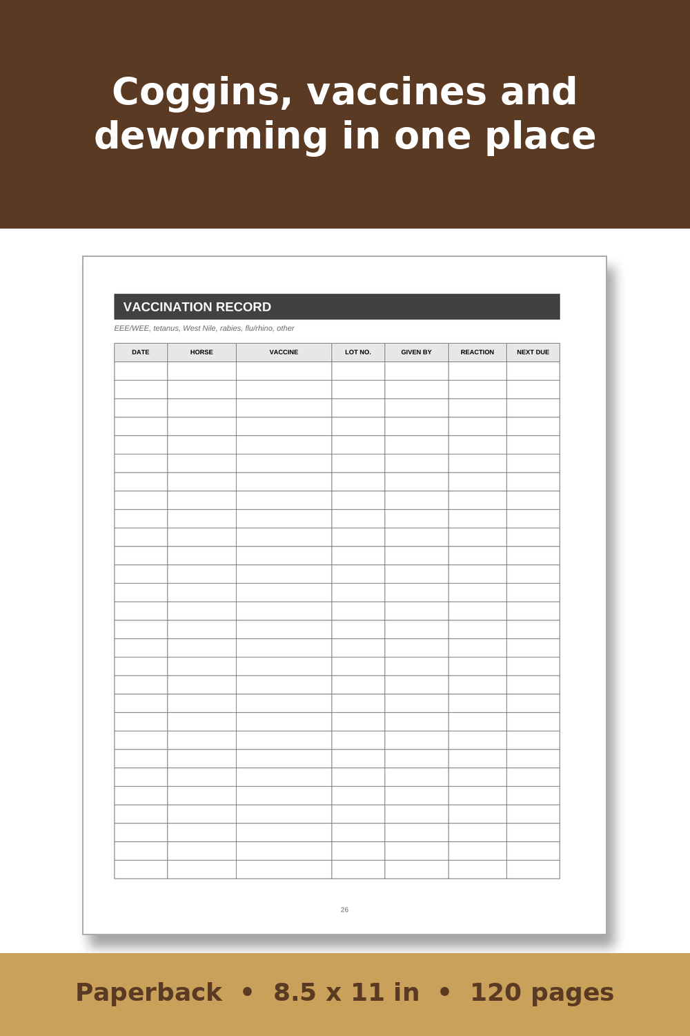Horse Care Record Book – inside page