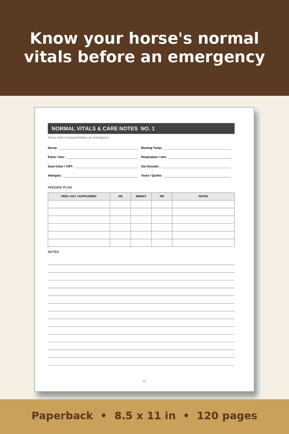 Horse Care Record Book – inside page