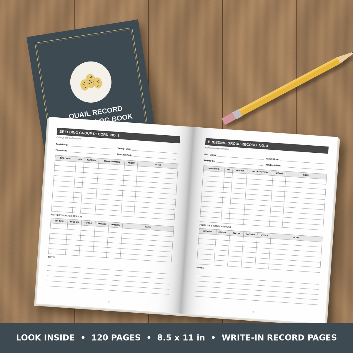 Quail Record Keeping Log Book – inside pages spread
